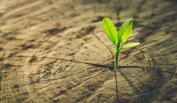 İhtiyacınız olan umudu yeşertmenin 7 yolu