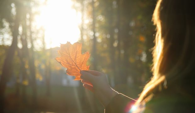 Şimdi ve burada olmanın gücü