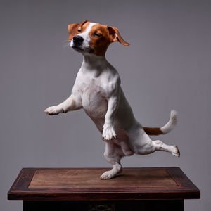 Yaşlanma testi: Tek bacak üzerinde durun