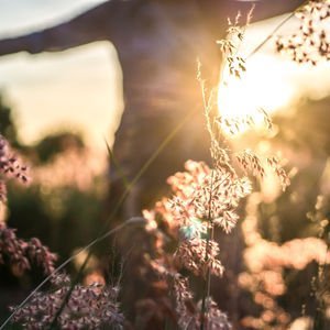 Anlamlı yaşam için: Kendini gerçekleştirme