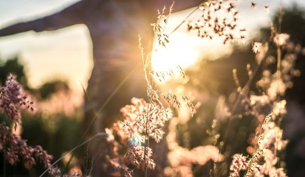 Kendini gerçekleştirme nedir?