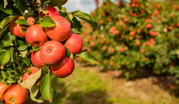 Para akışınızı engelleyen gizli direnç: Kıskançlık