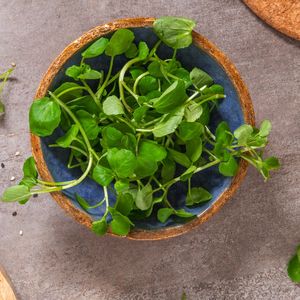 Dünyanın en sağlıklı sebzesi seçildi!