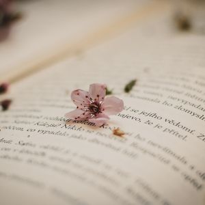 ‘‘Hepimiz anne yarası taşıyoruz’’