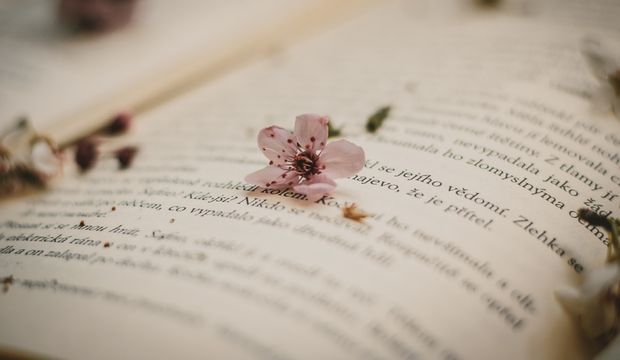 Hüma Zeybek: ‘‘Hepimiz anne yarası taşıyoruz’’