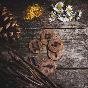 6 Aralık - 28 Şubat Mars Retrosu: Kalp ve aklın kaosu!