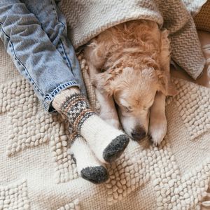 İnsanlar kış uykusuna yatabilir mi? 