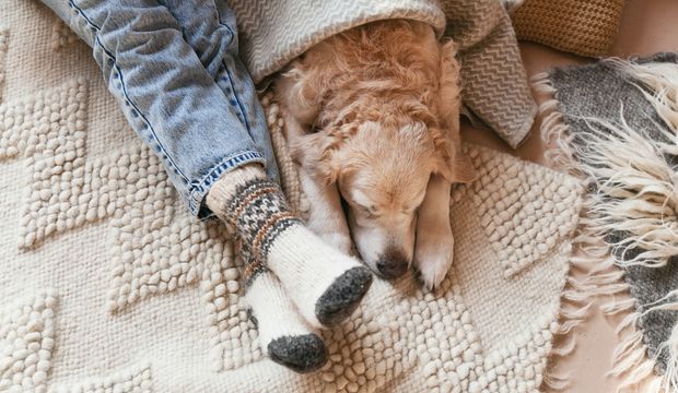 İnsanlar kış uykusuna yatabilir mi?