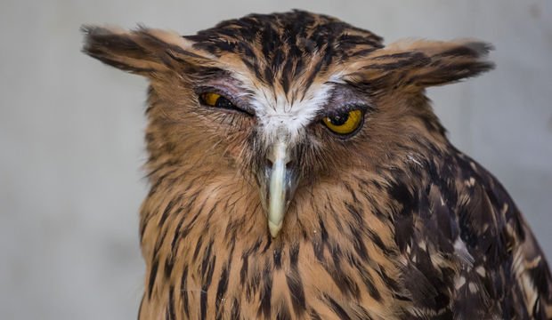 Nefret duygusu mental sağlığımıza zarar verir mi?