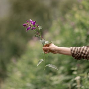 Gerçek benliğinizi kucaklayın!