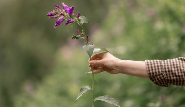 Kendini kabullenmeyi geliştirmenin pratik yolları