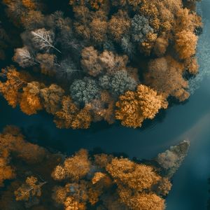 Telaşsız bir hayat