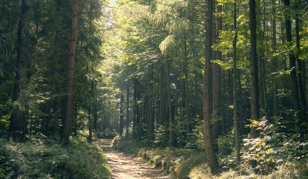 İçsel çatışmaları çözümleyerek huzur bulmanın yolları