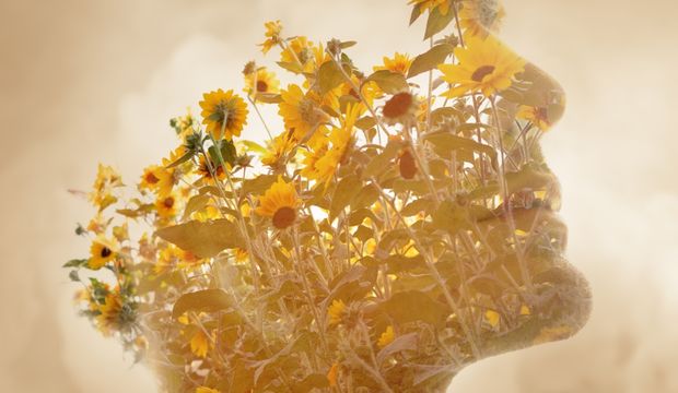 Polivagal teori nedir?