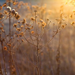 Bazı hisleri hafifletmenin 5 yolu 