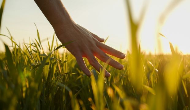 Güvensizlik nedir? Güvensizlikle nasıl başa çıkılır?