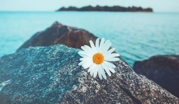 Bazen kendinizle yalnız zaman geçirmek iyi hissettirir