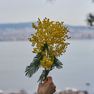 Eylem öncesi hukuk rehberi