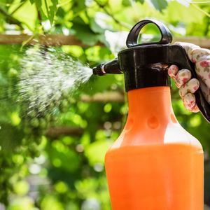 Tarım ilaçları çocuklarda kanser riskini artırıyor mu?