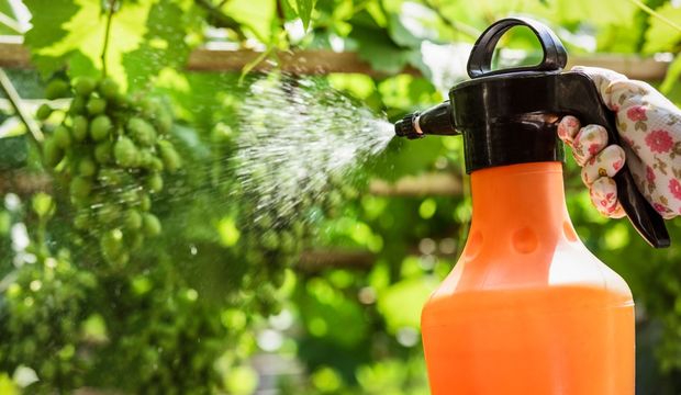 Tarım ilaçları çocuklara zarar verir mi?