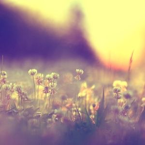 14 Mart - 7 Nisan Merkür Retrosu: Bahar temizliği