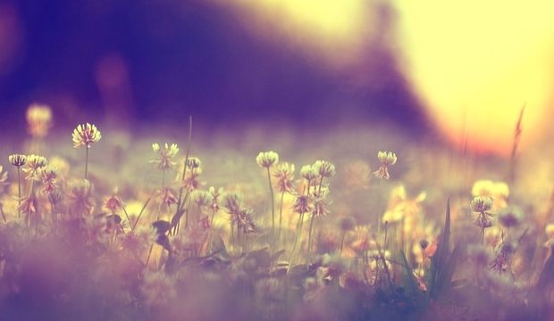 Merkür Retrosu (14 Mart-7 Nisan 2025) genel etkileri ve burçlara etkiler