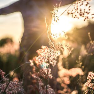 Gerçek tutkularımızı nasıl keşfederiz?