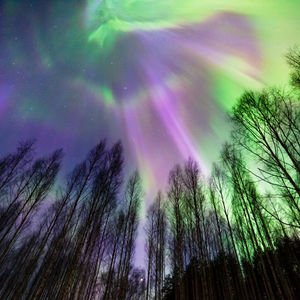 Gökyüzü bu gece renklenebilir