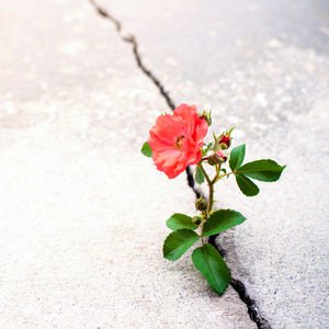 Kötü alışkanlıklardan nasıl kurtulabilirsiniz?