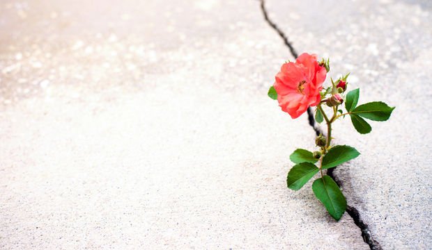 Kötü alışkanlıklardan nasıl kurtulabilirsiniz?