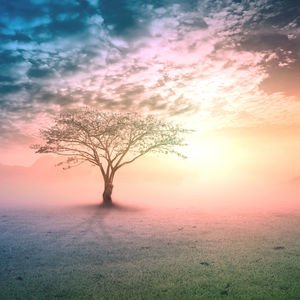 Dünyanın en yaşlı insanı belli oldu