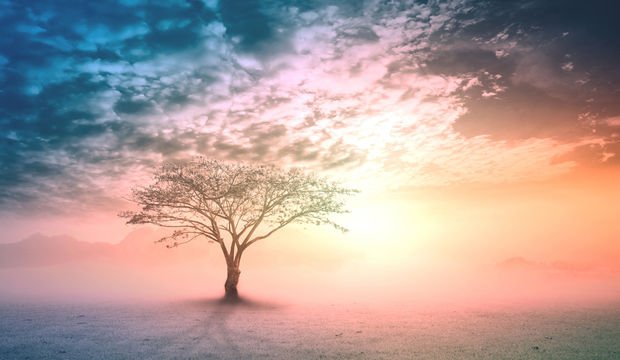 Dünyanın en yaşlı kadını kim?