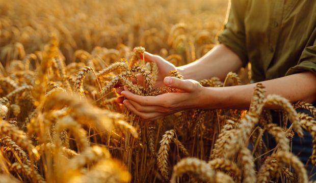 Parayla barışmadan bolluğu hayatına çekemezsin