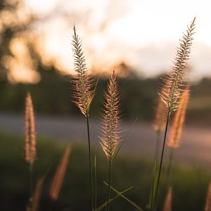 Çocukluk travmalarından kurtulup gerçek seni ortaya çıkar!