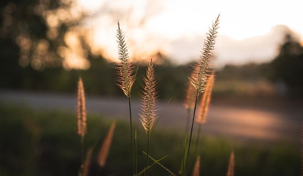 Çocukluk travmalarından kurtulup gerçek seni ortaya çıkar!