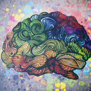 Beynin öğrenme mekanizmaları nasıl çalışır?