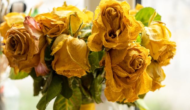 Kronik hastalıklar depresyon riskini artırıyor