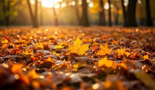 Hayattan yorulduğunuzda ne yapmalısınız?