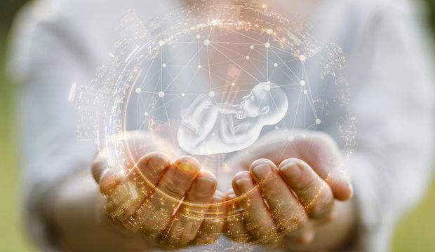 Yapay rahim nedir?