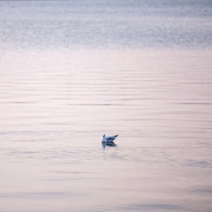 Huzurun anahtarı: Sakinlik