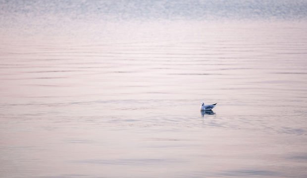 Huzurun anahtarı: Sakinlik
