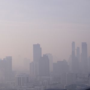 Egzoz dumanı beyni anında etkiliyor