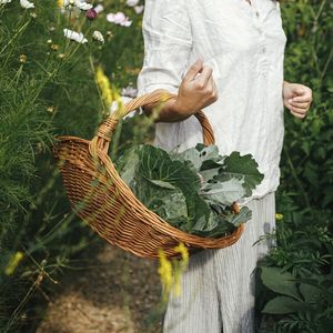 Bahçeyi permakültür cennetine çevirmenin 7 yolu