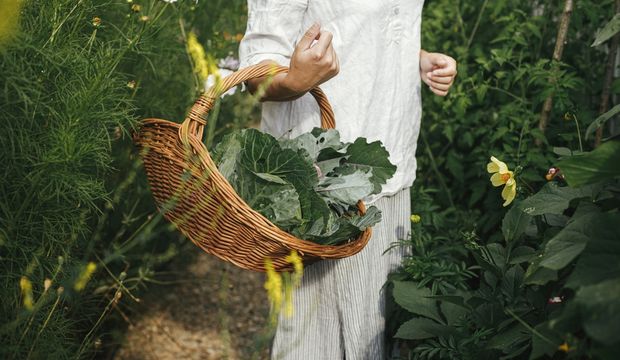 Bahçede yapılabilecek doğa dostu iyileştirmeler