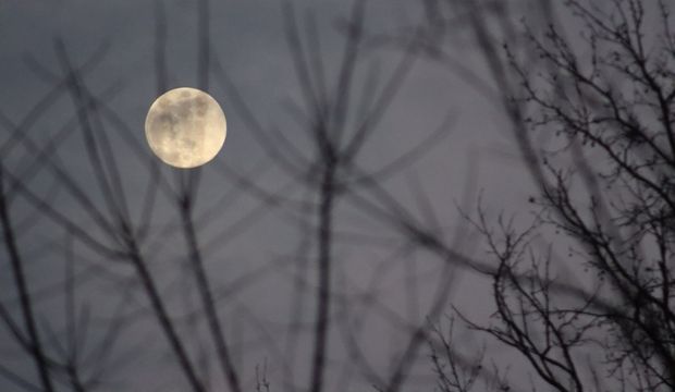 1085702_620x360.jpg