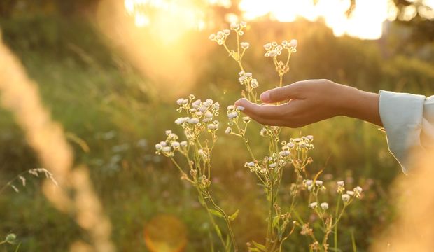 Farkındalıklı bir yürüyüş hayatınızda neleri değiştirir?