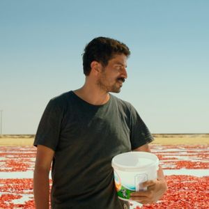 Türkiye'nin Oscar adayı belli oldu!