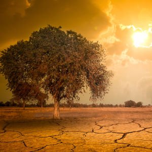 Fazla su harcamadan serinleme yöntemleri