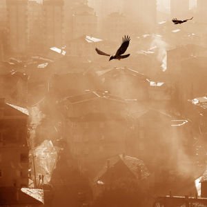 Hava kirliliği demans riskini artırıyor