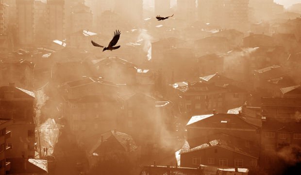 Hava kirliliği demans riskini artırıyor